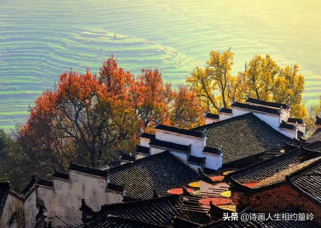 安远县去黄山旅游攻略路线， 安远县去黄山旅游攻略路线图