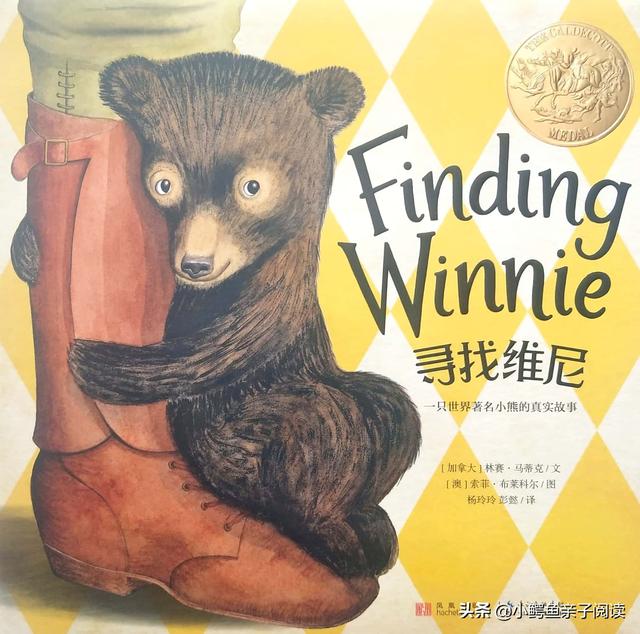 幼儿园制作绘本蛋宝宝，幼儿园绘本故事蛋宝宝