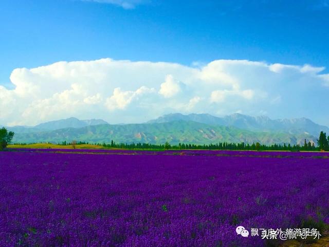 惠远古城景点门票价格， 惠远古城景点门票价格表