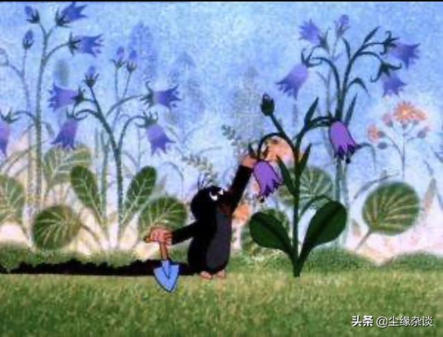 经典动漫排行榜，经典动漫排行榜前十名