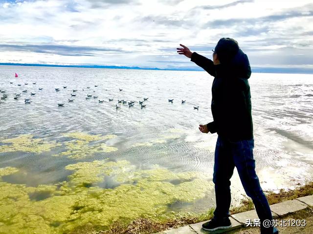 中国人喜欢去哪些地方旅游-中国人喜欢去哪些地方旅游英语作文