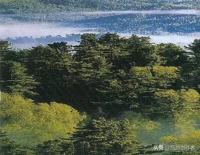 六月旅游必去十大景点(图2)