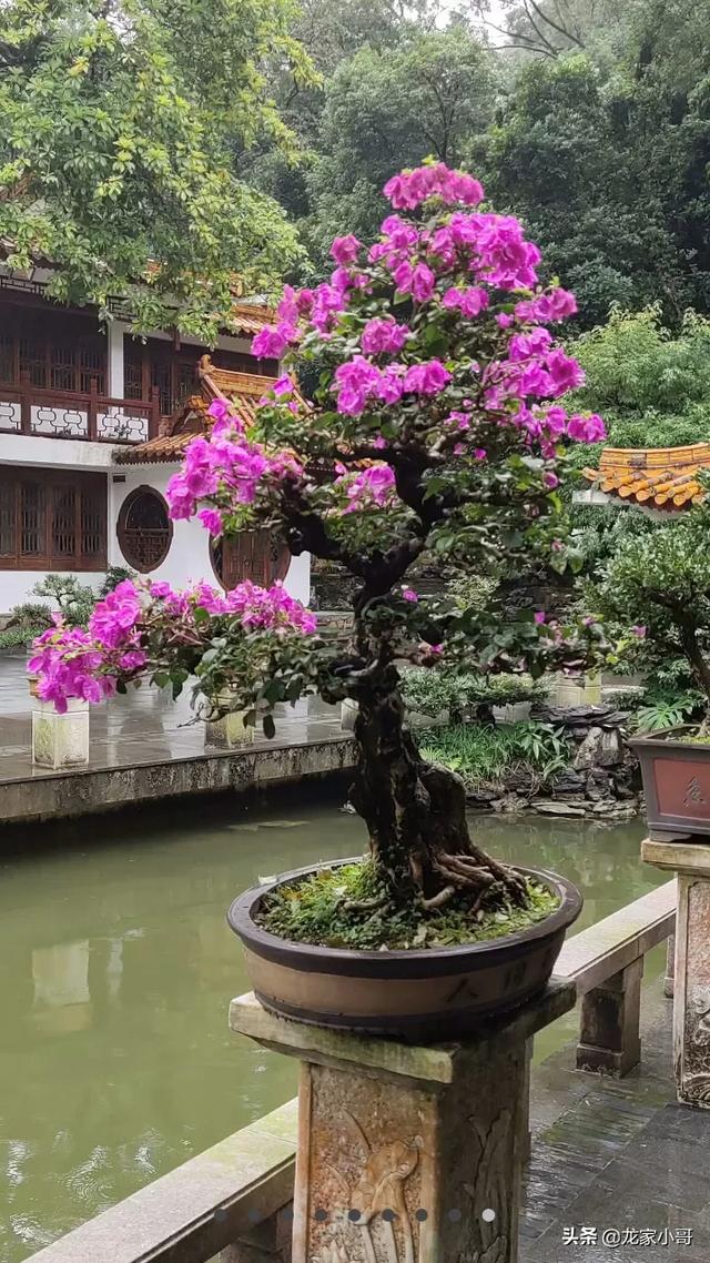 甜蜜的人生电影女主角的结局