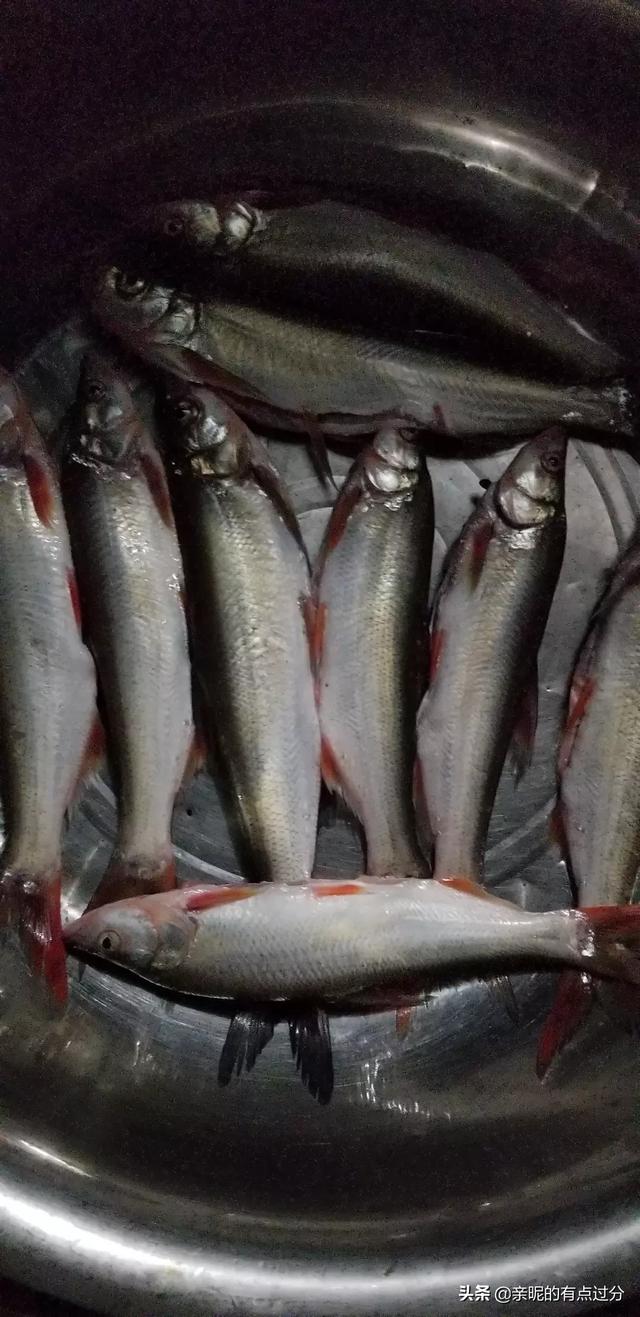 钓鲫鱼鱼钩如何搭配好看(图27)