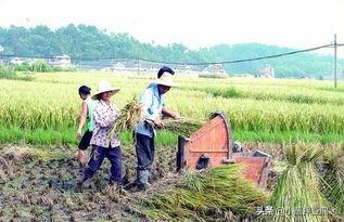 湖南现代投资-湖南现代投资集团有限公司