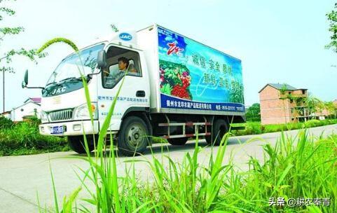 论文：电子商务在中国农村的发展应该怎么写？：乡村庭院景观设计论文