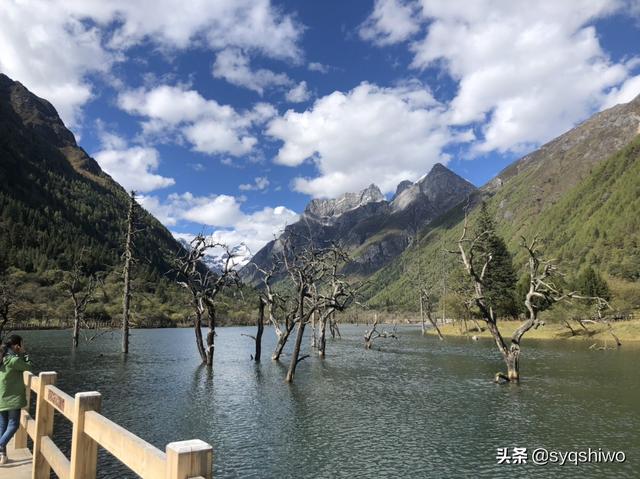 成都市有哪些景物类型