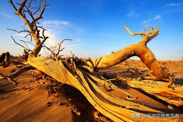 浙江清净旅游景点大全排名， 浙江清净的旅游地方