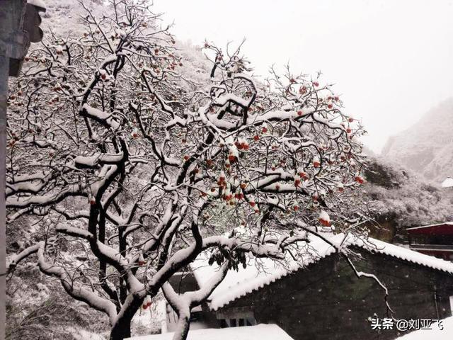 邢台著名旅游景点大全， 邢台著名旅游景点大全图片