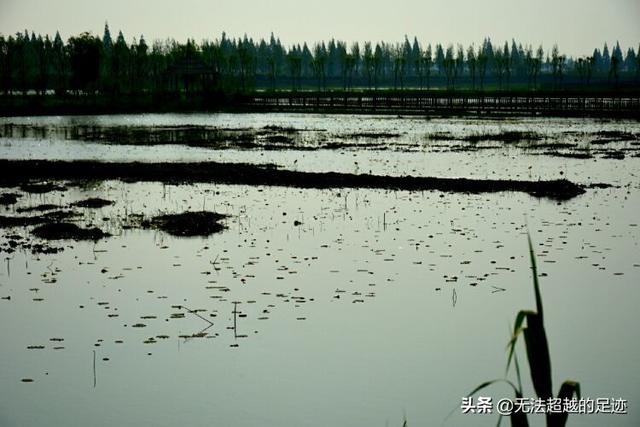 厦门湖里鸡最多的地方-厦门湖里鸡最多的地方是哪里