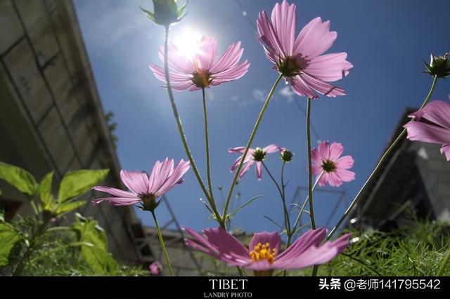 节气旅游景点大全， 节气旅游景点大全图片