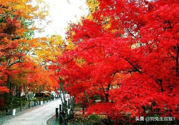 资兴旅游穿搭新疆， 资兴旅游网