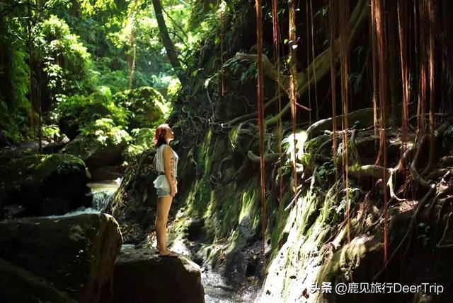 海滩美女 海外生活，海滩美女 海外生活视频