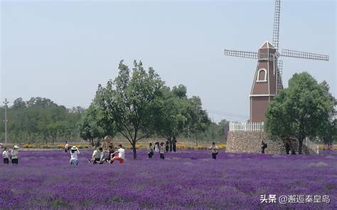 去昌黎旅游攻略，去昌黎旅游攻略一日游