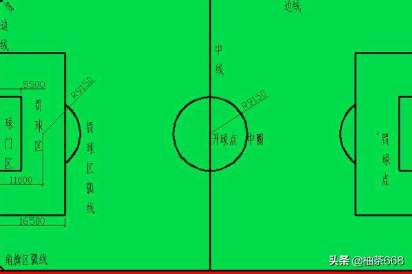 国际标准足球场？