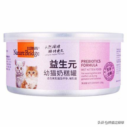 喂养两个月小猫的猫咪爱应该怎么分量,第3张
