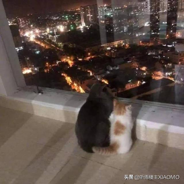 当然前提是男人要够持久(图1)