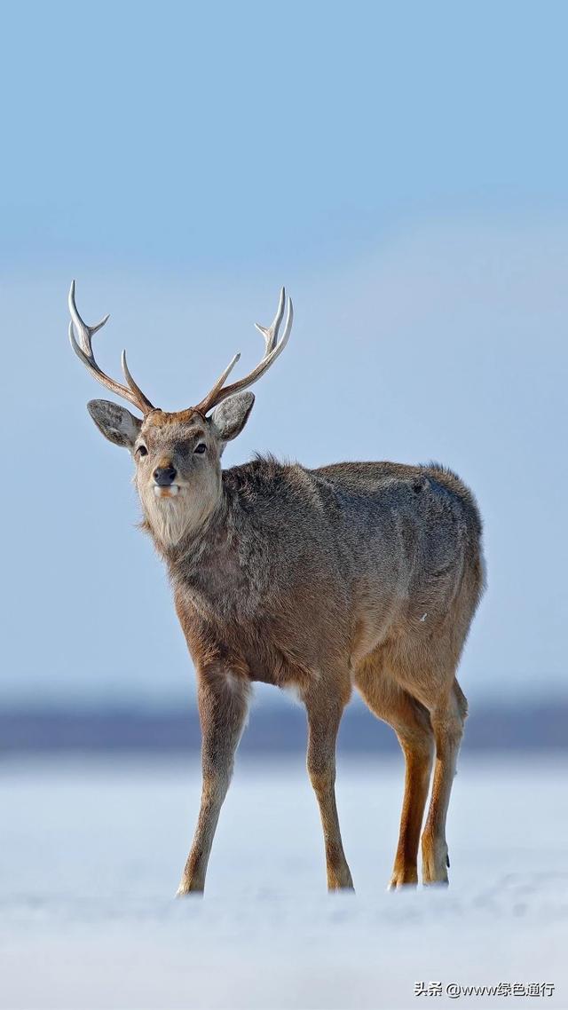 精彩又吸引人的故事（吸引人的故事作文）