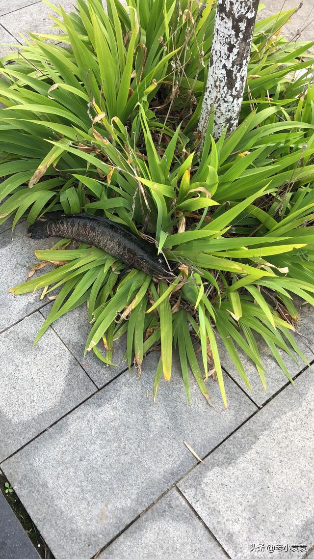 雷强竿雷强竿那个品牌性价比高