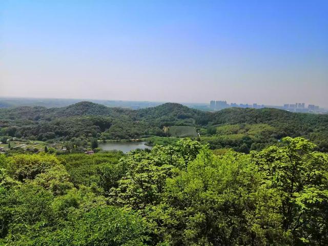 田园风格室内设计文献综述怎么写-田园风格室内设计文献综述怎么写的