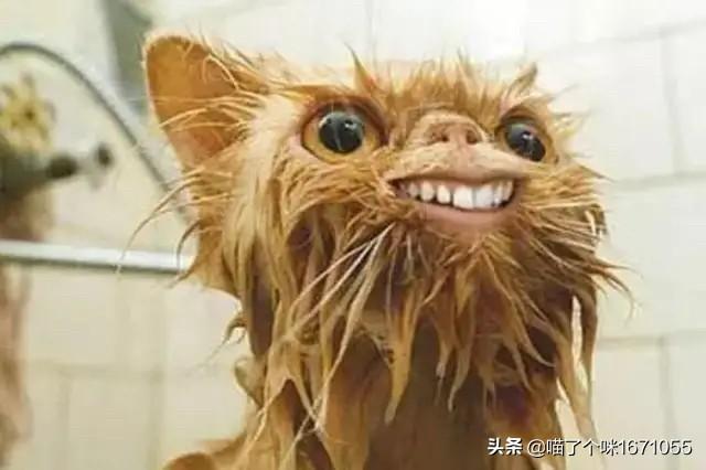 为了让游戏画面流畅，我经常会降低分辨率，谁有更好的方法