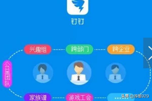 高级会计师报名入口官网：财务职业认证的领军者，高级会计师报名官网登录入口