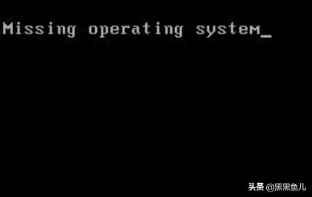 MISSING OPERATING SYSTEM_Missing operating system_