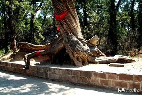 云南曲靖市麒麟区吃刨猪汤农家乐一般多少钱一天,曲靖杀猪饭酒楼