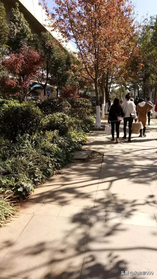 11月必去的云南景点(图18)