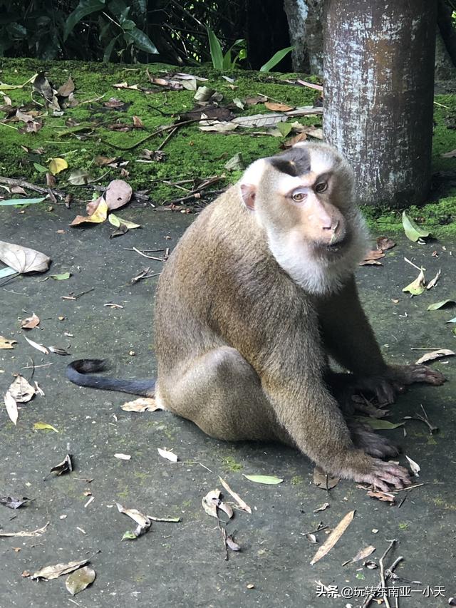 泰国玉屏旅游景点，玉屏旅游攻略