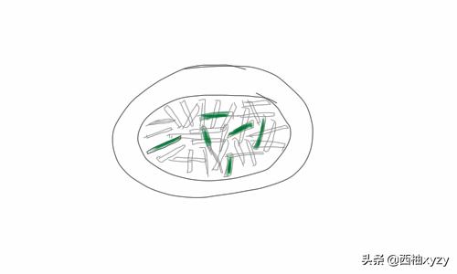 食物如何搭配营养简笔画(图16)