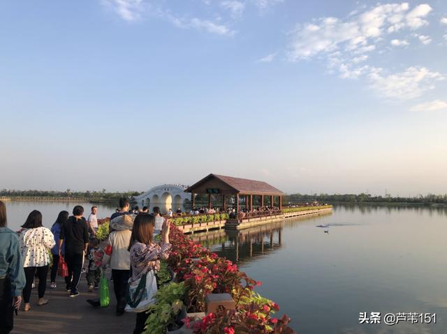 带46名老人去旅游