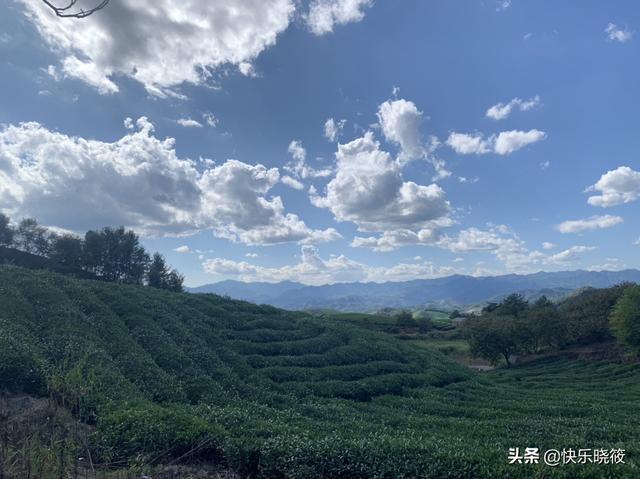 户外休闲文案？：户外休闲