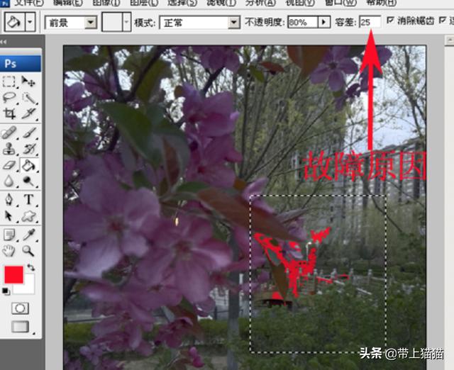 [ps油漆桶]PS里油漆桶用不了的7种解决方法和原因？