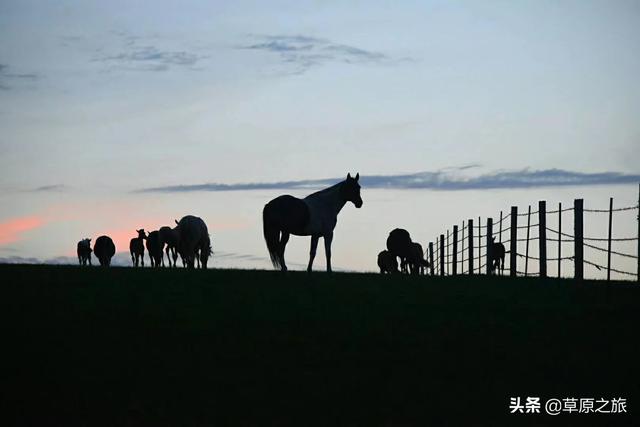 温岭小众旅游攻略路线， 温岭小众旅游攻略路线图