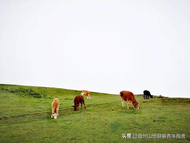 邵阳月牙泉旅游攻略路线， 邵阳月牙泉旅游攻略路线图