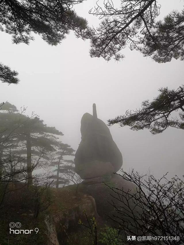 [黄山风景图片]黄山特色风景？