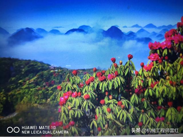 最适合旅游的季节