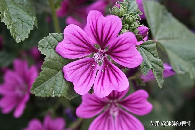 句透人生的哲理短句子（人生哲理的经典句子,看完让你受益匪浅!）