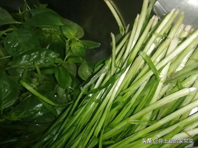 春卷皮图片（春卷皮哪里有卖）