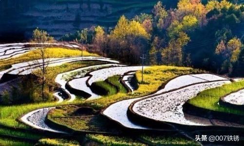 关于乡村的诗句（关于乡村的诗句有哪些）