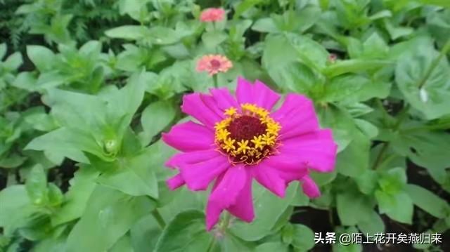 [女烈受刑]心里过不去的坎，该如何解脱？