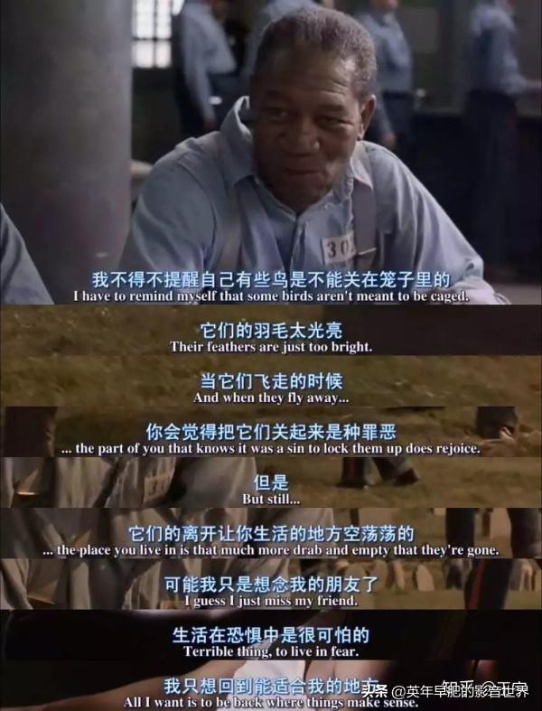 什么荐片(什么好片)