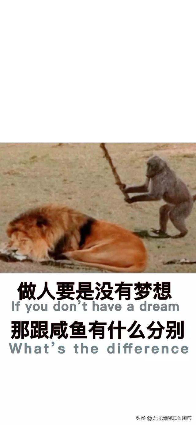 小孩意外险要买吗多少钱 1岁左右的宝宝有没有必要买保险？现在已经有社保了？
