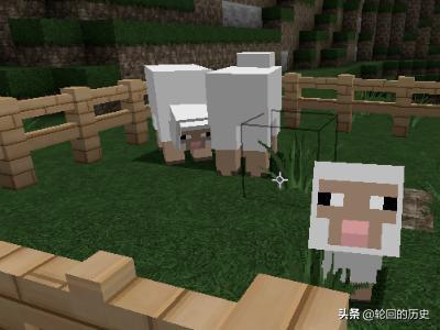 我的世界山羊如何驯服 我的世界山羊吃什么-第6张图片-随然AIR主题