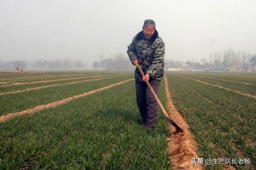老杨海外生活，老杨出国