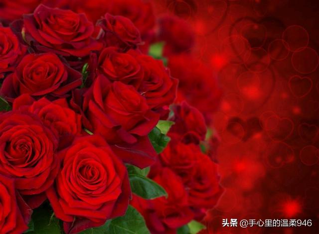女人过生日送什么礼物好呢（女人过生日一般送什么礼物好）(图3)