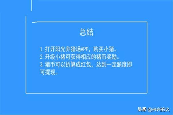 阳光养猪场赚钱 阳光养猪场赚钱版下载地址-第5张图片-随然AIR主题