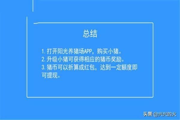 农业养殖致富网养猪项目，农业养殖致富网养猪项目介绍