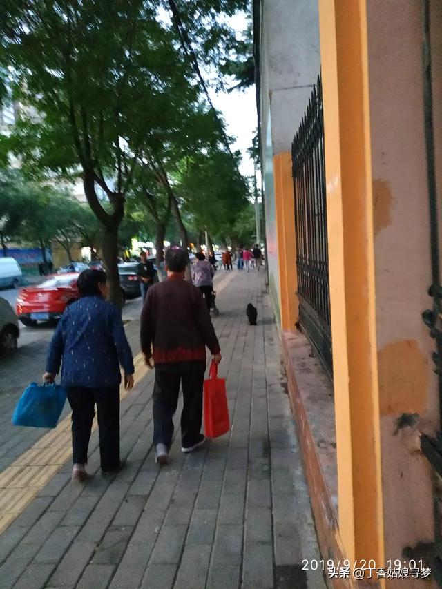 寵物焚化?寵物焚化爐!